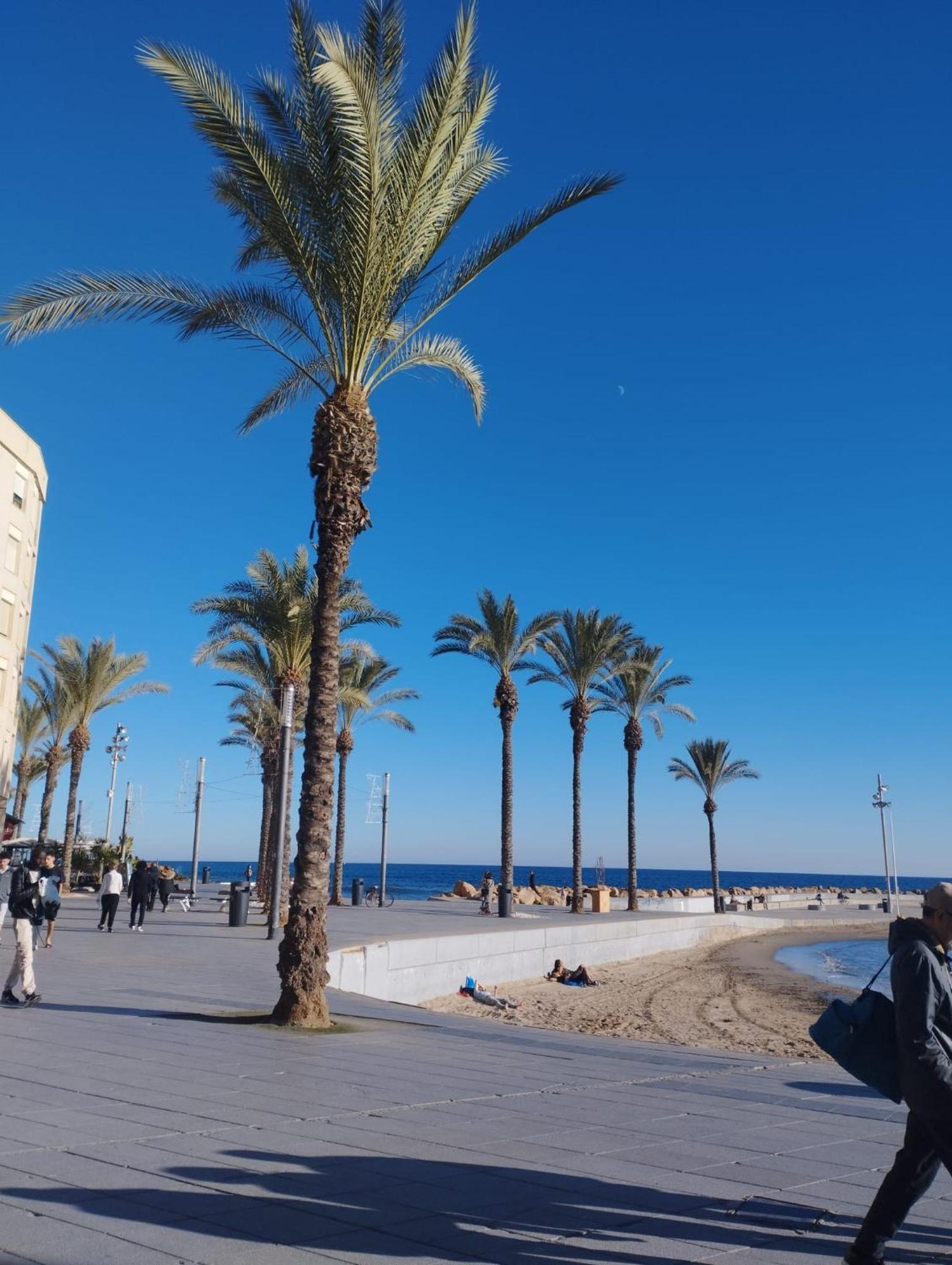 Просторная Квартира Рядом С Морем В Хорошем Районе Torrevieja Esterno foto